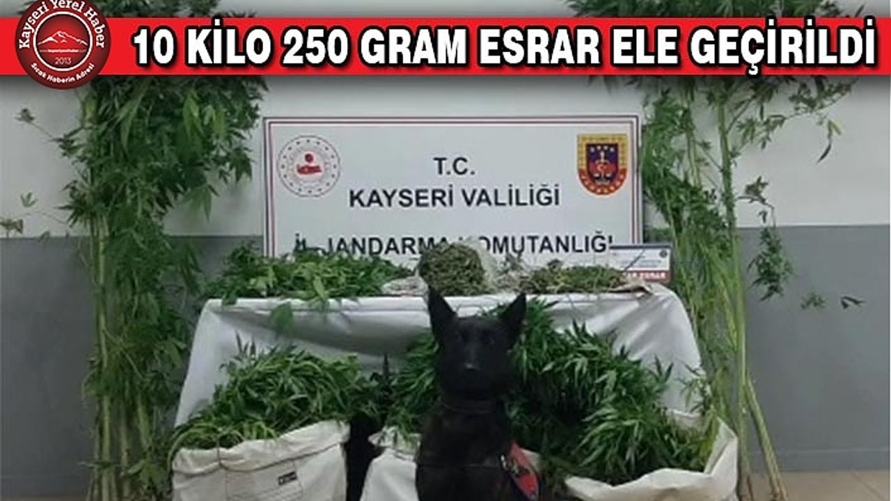Kayseri'de Uyuşturucu Operasyonu: 3 Gözaltı