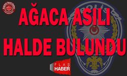 Ağaca Asılı Halde Bulundu