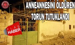 Anneannesini Öldüren Torun Tutuklandı