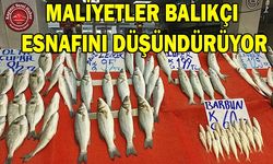 Balıkçı Esnafı da Maliyetlerden Dertli