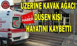 Kavak Ağacı Ölüm Getirdi