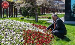 Kayseri, Çiçek Açtı