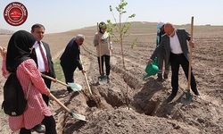 Çolakbayrakdar’dan Ağaçlandırma Çağrısı