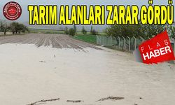 Dolu Yağışı Tarım Alanlarına Zarar Verdi