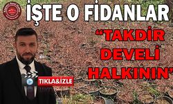 İşte Kurumaya Terk Edilen Fidanlar