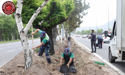 200 Bin metrekare alana damla sulama sistemi