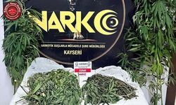 Bahçesinde Hint Keneviri Yetiştiren Zehir Taciri Yakalandı