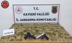 Yasadışı Kenevir Ekimi Yapan 2 Kişiye Gözaltı