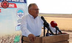 BAŞKAN BÜYÜKKILIÇ, FELAHİYE’DE NOHUT HASADI YAPTI