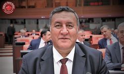 Gürer: “Kamu Varlıklarının Tüketilişi İncelemeye Değer”