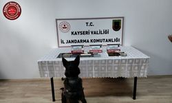 Jandarmadan Uyuşturucu Operasyonu