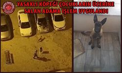 Köpeği Çocukların Üzerine Salan Kişi Gözaltında