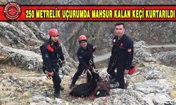 Uçurumda Mahsur Kalan Keçiyi İtfaiye Kurtardı