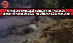 Ağaçtan Düşen Muhtar Ağır Yaralandı