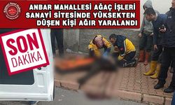 Ağaç İşleri’nde Yüksekten Düşen Kişi Yaralandı