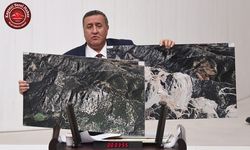 Gürer: “Orman alanları artmıyor, azalıyor”