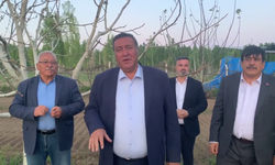 GÜRER: “AĞAÇ SAYISI ARTTI İTHALAT AZALMADI”