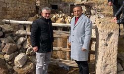 KOYUNLAR ARTIYOR, MERALAR ŞENLENİYOR