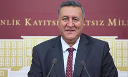 Gürer: “Veteriner hekimlerin özlük hakları iyileştirilmelidir”