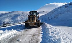 Büyükşehir, Kardan Kapanan 256 Kilometrelik Yolu Ulaşıma Açtı