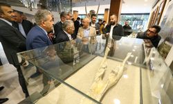 Kayseri Büyükşehir Belediyesi, 7,5 Milyonluk Fosil Faunasını Sergileyecek