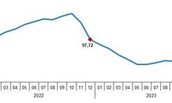 Yurt İçi Üretici Fiyat Endeksi, Aralık 2023