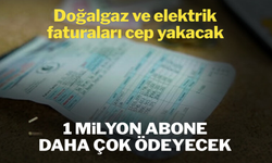 Elektrik ve Doğalgaz Faturalarına Düzenleme