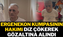 Ergenekon kumpası hakimi diz çökerek gözaltına alındı