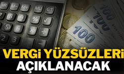 Vergi yüzsüzleri açıklanacak