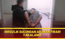 Hırsızlık Suçundan Aranan Firari Yakalandı