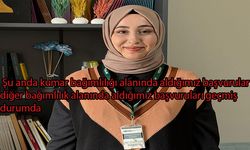 Kayseri’de kumar bağımlılığı diğer bağımlılıkları geride bıraktı