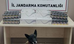 Jandarma ekipleri bin paket kaçak sigara ele geçirdi