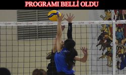 Kadınlar Bölgesel Voleybol Ligi