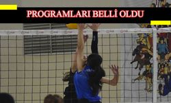 Kadınlar Bölgesel Voleybol Ligi