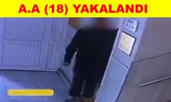 Cep telefonu hırsızı yakalandı