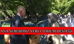 Kocasinan Belediyesi’nden organik domates fidesi dağıtımı