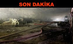 Mobilya fabrikasında yangın çıktı