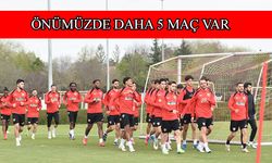 Jakirovic: Metametiksel olarak netleşene kadar mücadele etmeliyiz