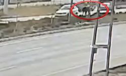 Yaralı köpeğe yardım etmek isteyen 2 kişiye araba çarptı
