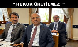 Genç, “Devlet, sadakatle değil liyakatle yönetilir”