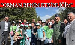 Vali Çiçek: “Orman sayısının artırılması bütün halkımızın talebi”