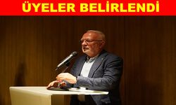 Elitaş, yeni anayasa için kurulan komisyonda yer aldı