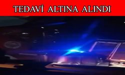 TIR’a çarpan araç sürücüsü ağır yaralandı