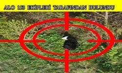 Vatandaşın büyükbaş hayvanı bulundu