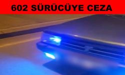 Trafik denetimi