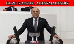 Genç, “Bütçenin kaderi Londra piyasalarında yazılıyor”