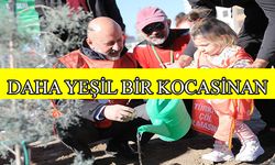Gilaburular toprakla buluştu