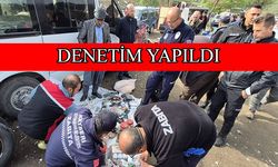 Zabıta ekiplerinden bit pazarına denetim