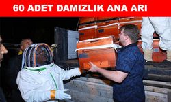 Bal üreticilerine  destek verildi
