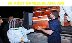 Bal üreticilerine  destek verildi